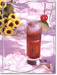 新加坡司令singapore sling